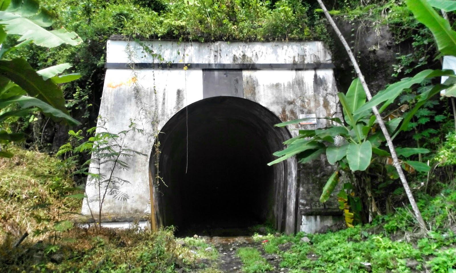Pamotan Heritage: Jasa Desa yang Membangun Masa Depan